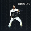 Elvis Presley Burning Love Формат: Audio CD (Jewel Case) Дистрибьюторы: RCA, SONY BMG Европейский Союз Лицензионные товары Характеристики аудионосителей 1999 г Альбом: Импортное издание инфо 3899a.